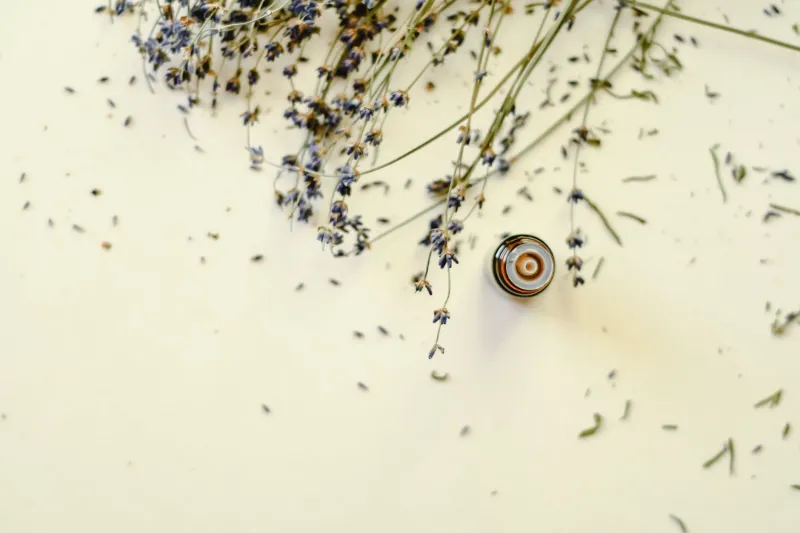 Au fil des saisons : orchestrer ses soins aromatiques pour une harmonie naturelle tout au long de l'année