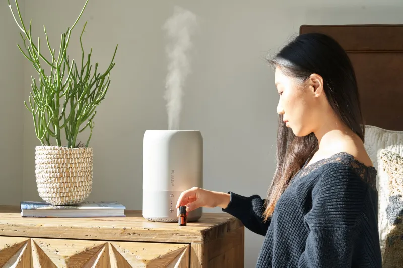 Pièce par pièce : transformez votre intérieur grâce aux huiles essentielles et à l'aromathérapie